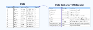 How to Create a Data Dictionary: 10 Actionable Steps