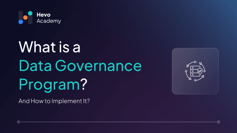 Data governance program